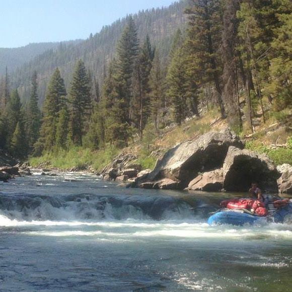 Meet your Posher, Luke - Picture 1 of 1